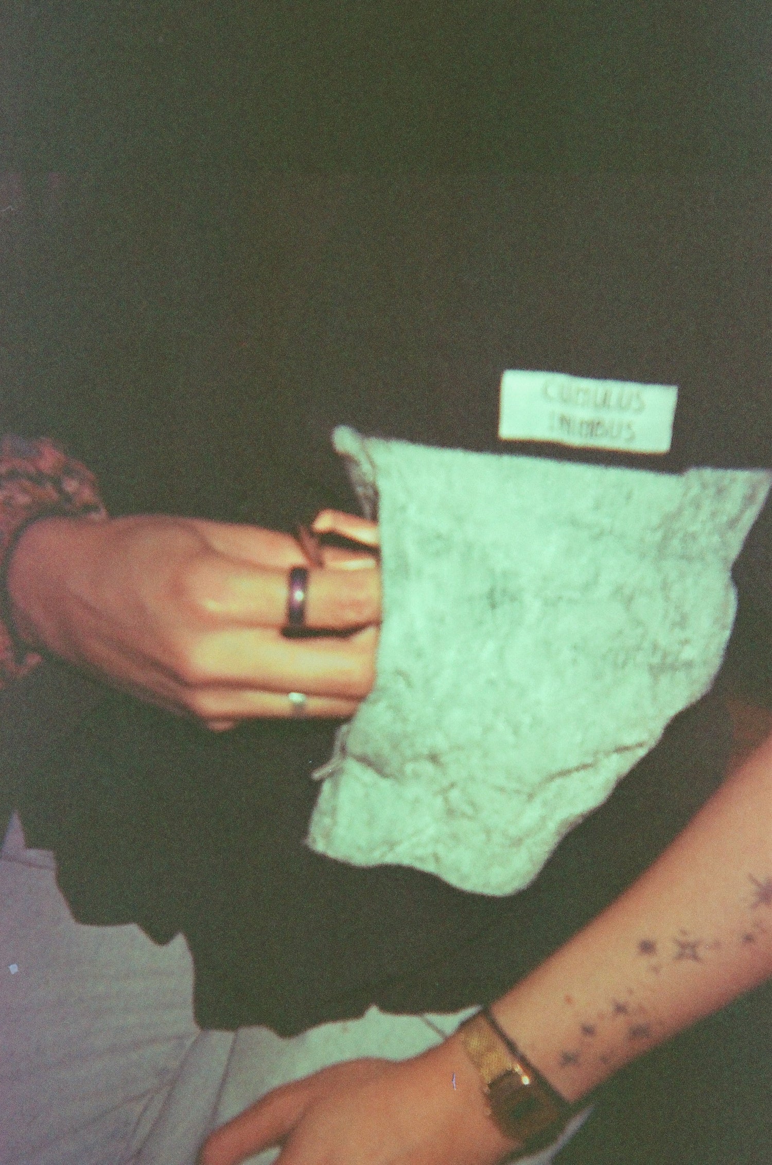 Shirts